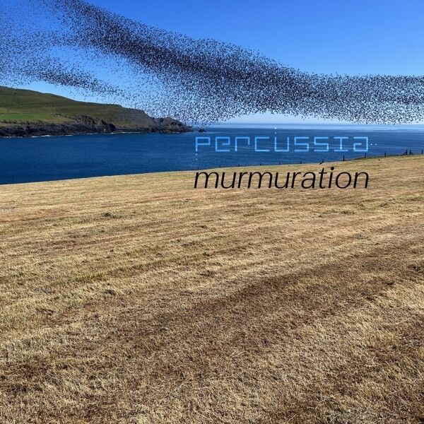 Cover art for Murmuration